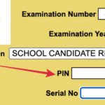 How To Check Your WAEC Result Online