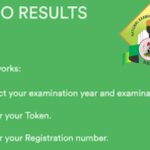 Check Your NECO Result online