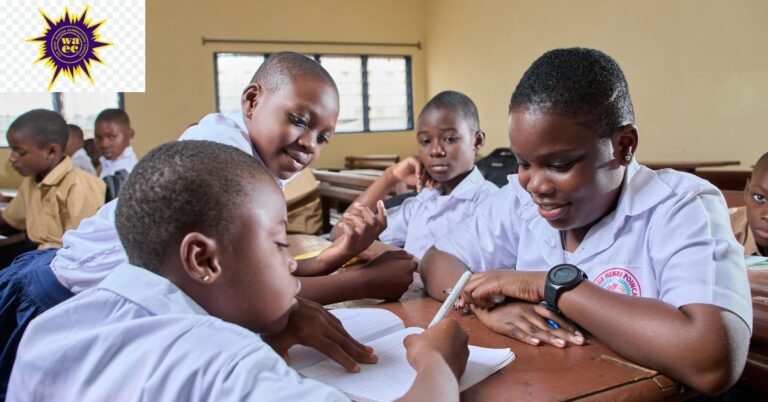 After The WAEC Exam What Next?