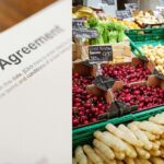 Best Loan Apps For Business Owners in Nigeria